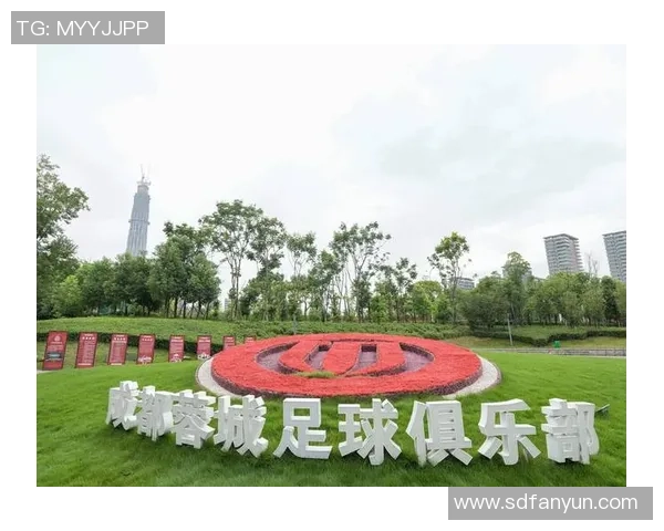 成都足球队技术实力大幅提升创新高引发全国关注